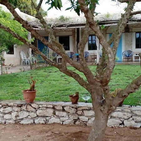 La Maison Essaouira 호텔 외부 사진
