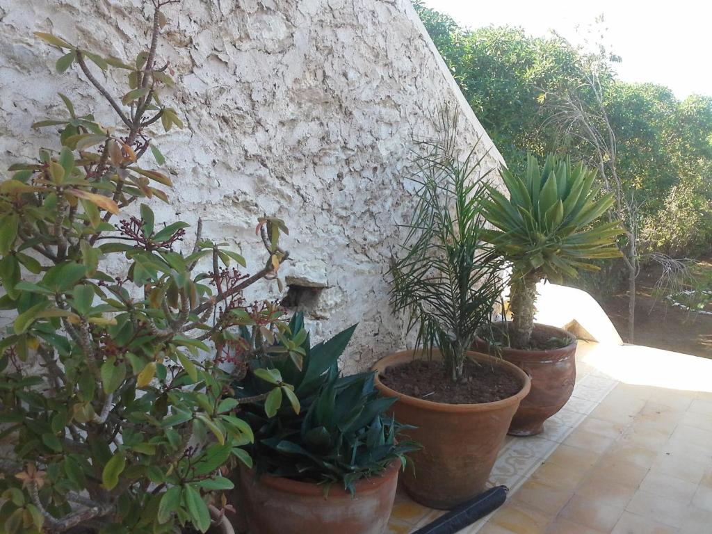 La Maison Essaouira 호텔 외부 사진