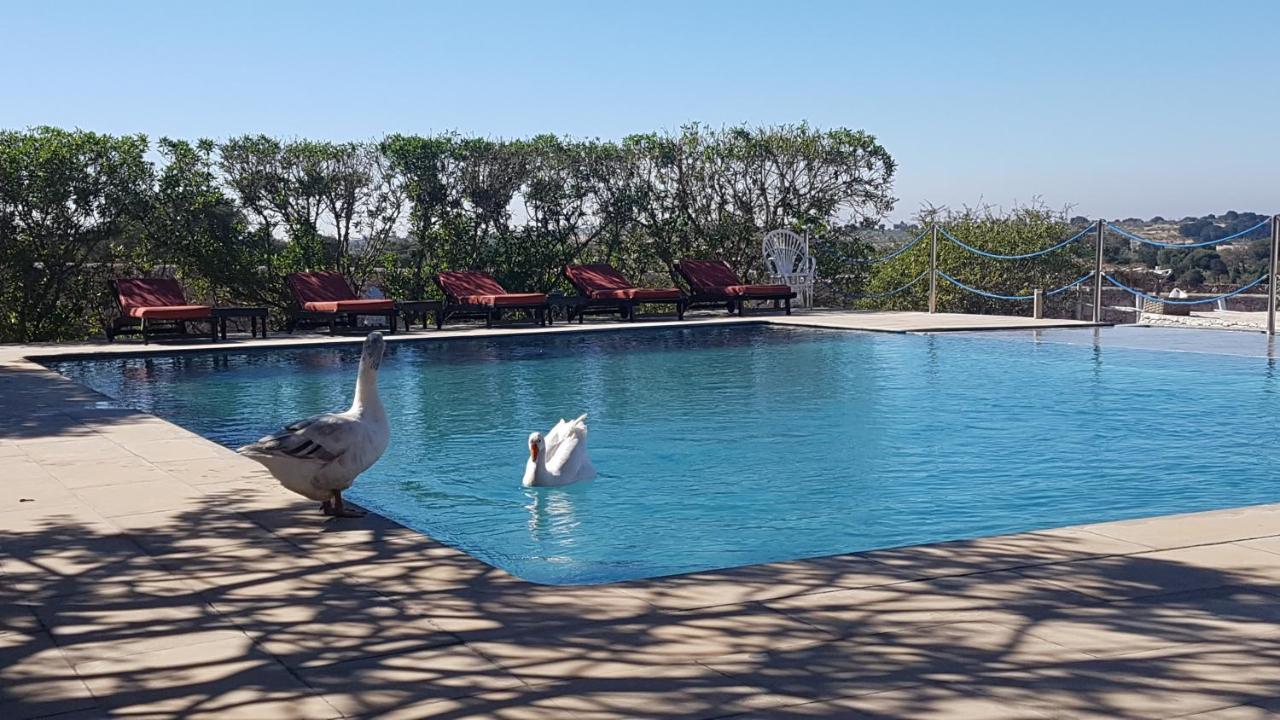 La Maison Essaouira 호텔 외부 사진