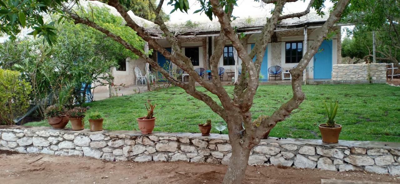La Maison Essaouira 호텔 외부 사진